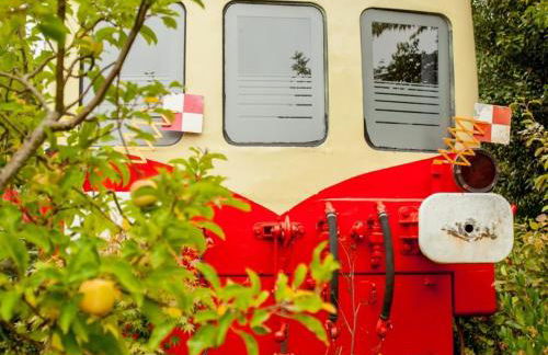 Hébergement Insolite Picasso - Photo 2