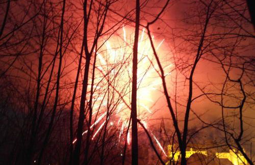 FeWo Ortloff - Foto 14