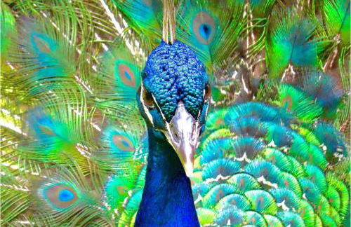 Patio Unit! Southern Exposure! - Foto 24