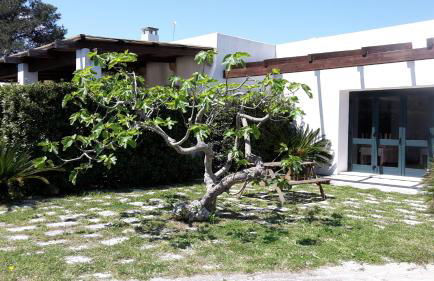 Agriturismo Vignavecchia - Foto 109