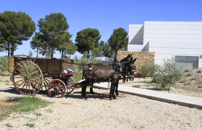 Finca Luz de Alba - Photo 29
