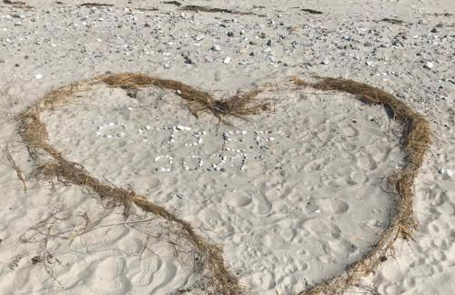 Ferienwohnungen Kapitänskajüte & Ausguck - Foto 23