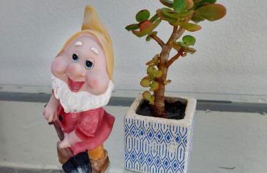 Casa d' Avó Zeza - Foto 13