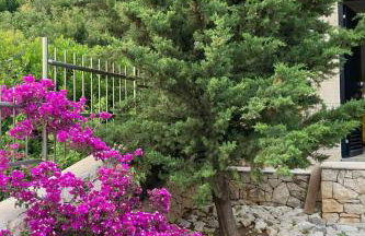 Holiday Home Luxuriöse Villa Hera- Korcula- am Strand by Interhome - Photo 38