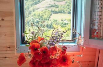 Agriturismo La Rovere - I Carrozzoni Gitani - Foto 27