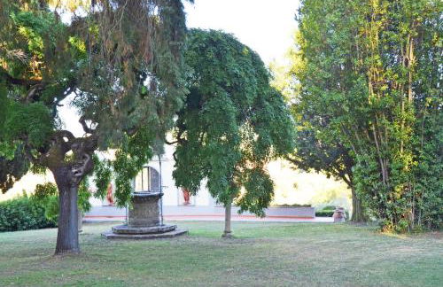 Podere di Montecchio - Photo 61