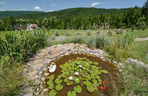 Pod Stokiem - Foto 3