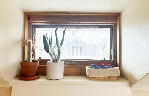 Sunny Downtown Gunnison Escape - Foto 61