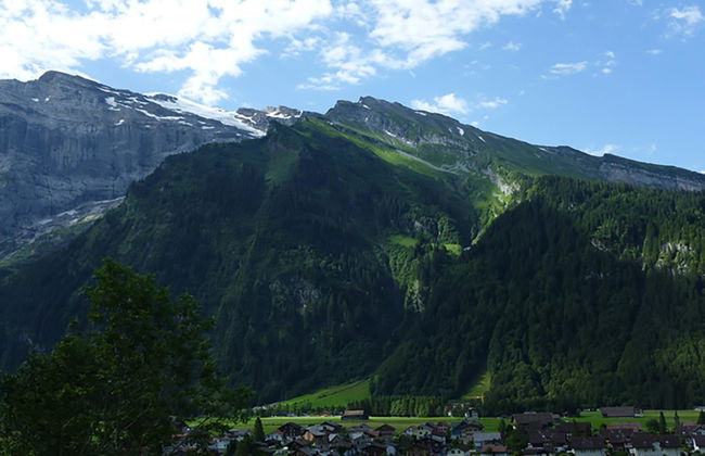 Berg Edelweiss - Foto 13