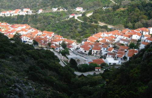 Velanidia Homestay - Foto 39