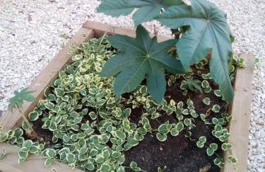 CASA CARMEN - Foto 33