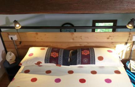 I Pesci nel golfo di Baratti - Foto 10