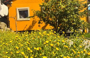 Refúgio com Piscina privada, Casa do Vale - DOURO, vistas deslumbrantes - Foto 4