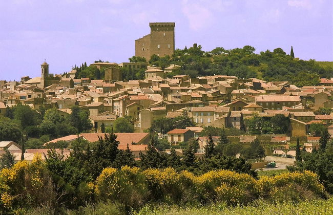 Holiday Home With Pool, Vaison-la-romaine - Photo 17