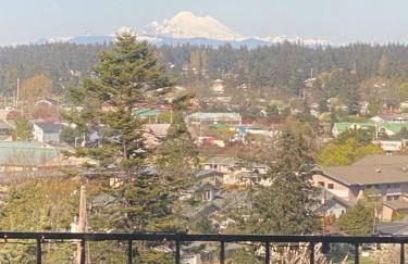 Mt. Baker View Harbor King Bed Fire Pit - Foto 25