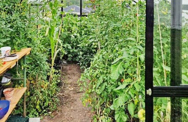 6 Person Holiday Home in Adelso-by Traum - Photo 30