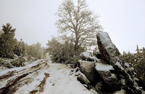 Refúgio do Fujaco - Foto 2