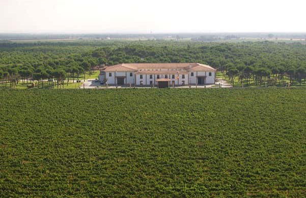 Visita a la finca Pago de La Jaraba - Foto 4