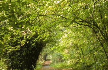 Little Apple Cottage- Free Parking, Hot tub, Fire, Town Centre - Foto 32