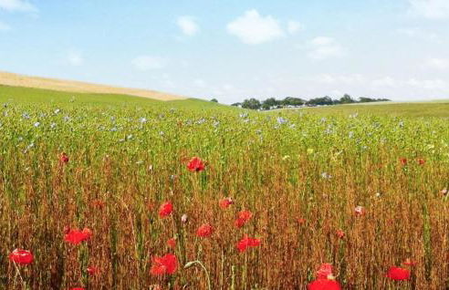 Amazing Home In Sainte-Marguerite-Sur- - Foto 19