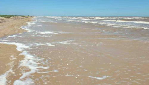 The Coastal Crab - Foto 2