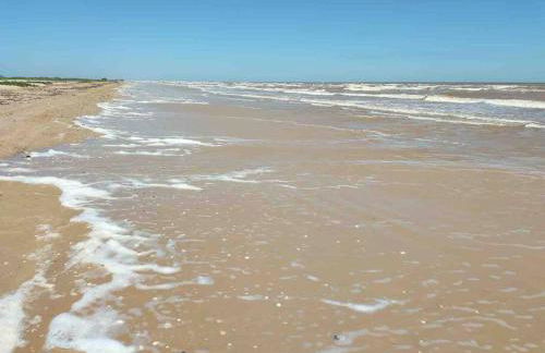 The Coastal Crab - Foto 2