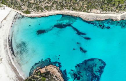 Can Yuca II - Foto 26