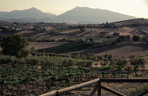 Agriturismo Emidio Pepe - Foto 16