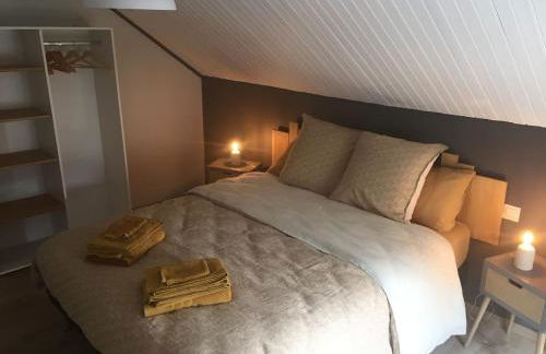 Gîte 8 à 14 personnes en Champagne avec jacuzzi - Foto 11