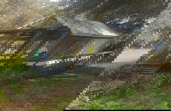 Redtail Ridge Cottages - Adults Only - Foto 15