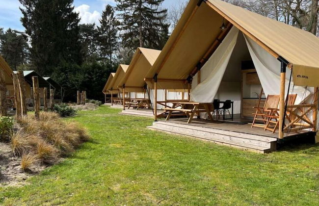 EuroParcs De Utrechtse Heuvelrug - Photo 12