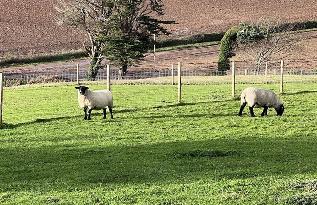 Poachers Hut 1-bed Cottage, Sleeps 2, Pet Friendly - Photo 12