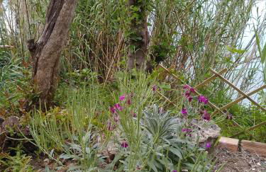 mare di zante "mare di levante" - Foto 15