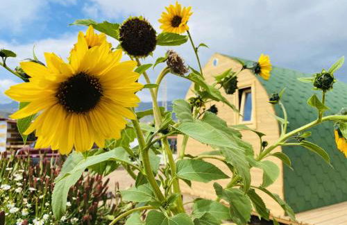 Nashira HOT TUB PISCINA Y JARDIN - Foto 59