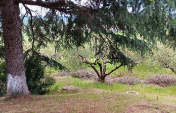 Villa Bianca Kavala - Foto 32
