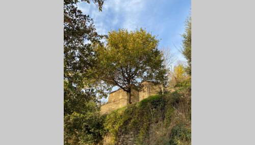 La Pellegrine, Parc national des Cévennes - Foto 5