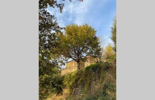 La Pellegrine, Parc national des Cévennes - Foto 5