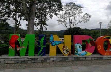 Excursion à la serre aux papillons de Mindo - Photo 6