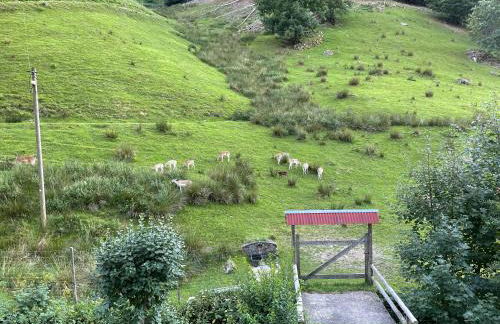 Bauernhaus im Münstertal - Foto 9