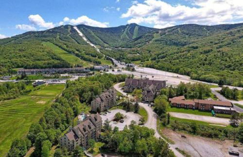 LilBear- AC, Pool, Sauna, Hot Tub, Near Resort - Foto 7