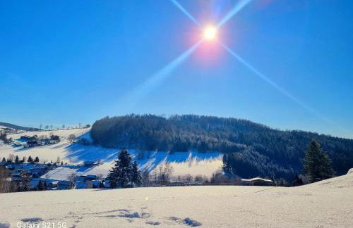 Ferienhäuser Olbernhau Erzgebirge - Foto 20
