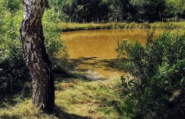 Brzozowa Polana - Foto 61