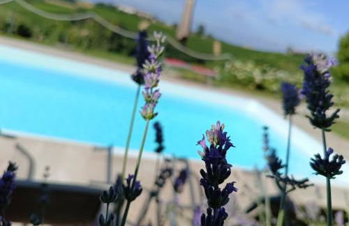 B&B La Quercia - Foto 74