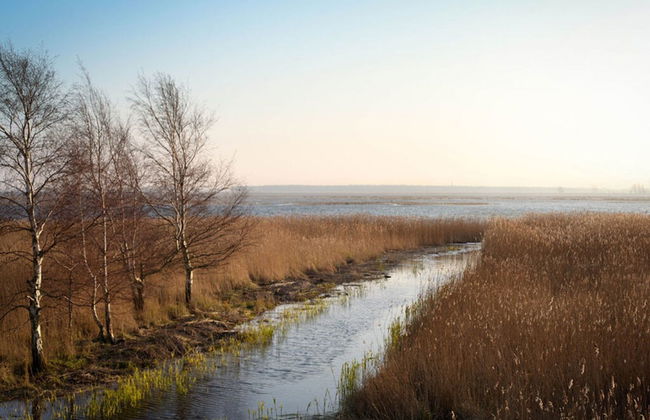 Beachkeeper Comfortable Holiday Residence - Foto 12