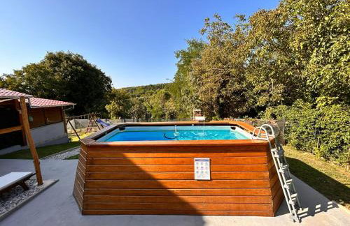 apartman Goga with pool and jacuzzi - Foto 18