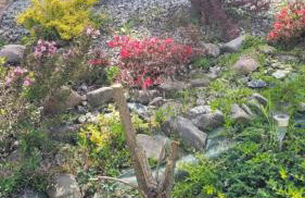 Dom nad jeziorem Oblasek - Foto 19