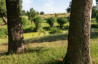 Ferienhaus Görmer mit Wasserbett - Foto 9