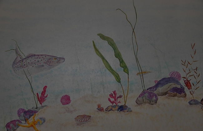 Steading Holidays - The Byre - Foto 13