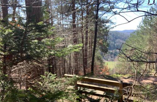 Hen-Coop Inn Appartement mit zwei Schlafzimmern & Netflix - Photo 33