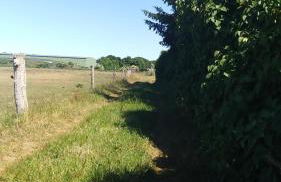 Ferienhäuschen - Foto 29